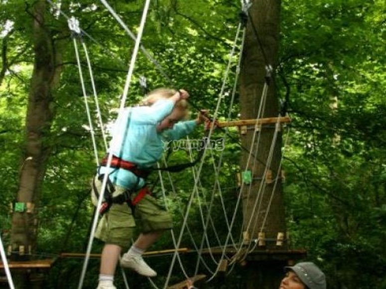 Jungle Parc Liverpool, prices and bookings 2024